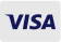 visa payment